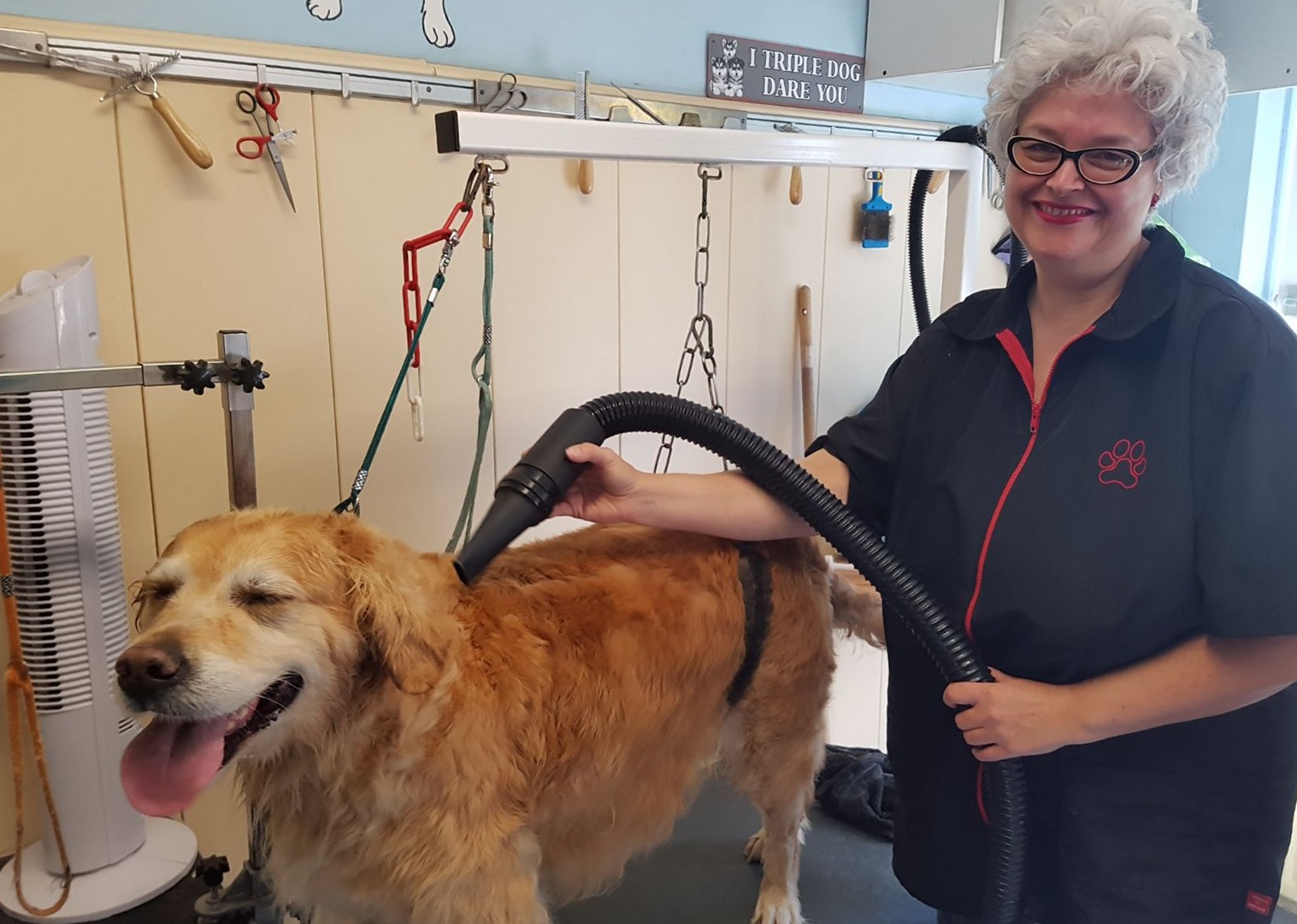 Renée föhnt een golden retriever droog op de trimtafel in haar salon